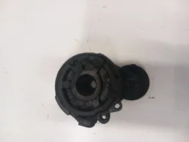 Fiat Punto (188) Generator/alternator belt tensioner 