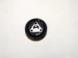 Fiat Doblo Power steering pump pulley 