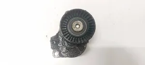 Volvo XC90 Napinacz paska alternatora 31251250