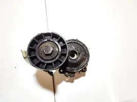 Citroen C5 Napinacz paska alternatora 