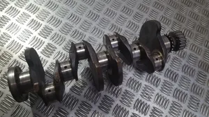 Renault Scenic I Crankshaft 