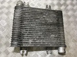 KIA Carens I Intercooler radiator k2445