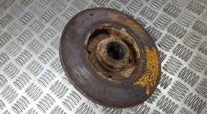 Volkswagen Vento Rear brake disc 