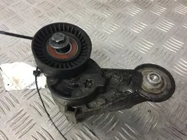 Volvo V70 Napinacz paska alternatora 30637961