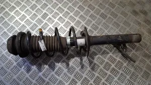 Citroen C1 Front coil spring 