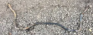 Seat Toledo I (1L) Barra stabilizzatrice anteriore/barra antirollio 