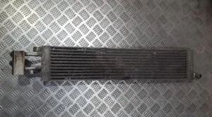 Citroen Xsara Picasso Chłodnica powietrza doładowującego / Intercooler 