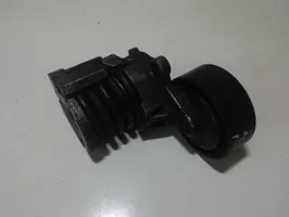 Volkswagen Polo Generator/alternator belt tensioner 