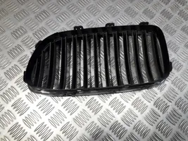 BMW 5 GT F07 Grille de calandre avant BM07060GAR