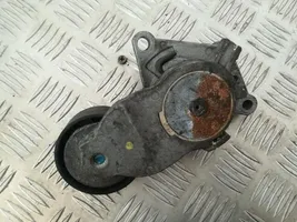 Citroen C3 Picasso Napinacz paska alternatora tf114