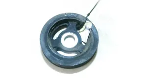 Citroen C5 Crankshaft pulley 