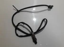 Peugeot 307 Sonde lambda 0258006026