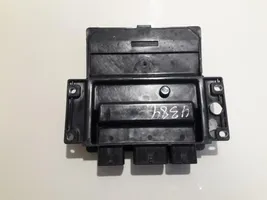 KIA Carnival Sterownik / Moduł ECU 391024x520