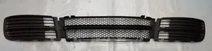 Fiat Ulysse Grille inférieure de pare-chocs avant 1489147077