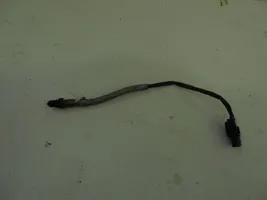 Audi A5 8T 8F Sonde lambda 03L906262