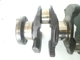 Citroen C5 Crankshaft 