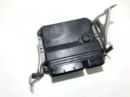 Toyota Avensis T270 Sterownik / Moduł ECU 8966105d22