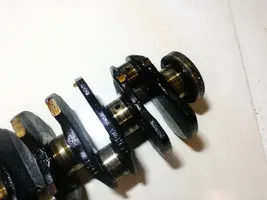 Fiat Punto (188) Crankshaft 