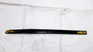 Honda Accord Rivestimento della portiera anteriore (modanatura) 