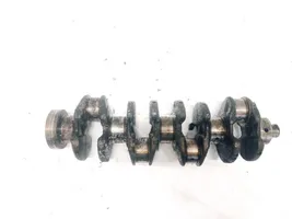 Ford Focus Crankshaft 