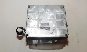 Toyota Corolla E120 E130 Sterownik / Moduł ECU 8966102A60