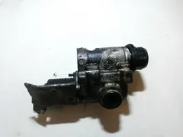 Renault Clio II Valvola EGR 53623012