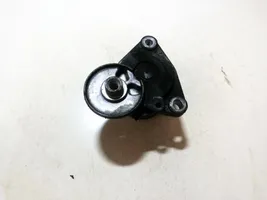 Hyundai Santa Fe Generator/alternator belt tensioner 