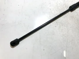 Mitsubishi Carisma Amortiguador/puntal del capó/tapa delantero 90182490n