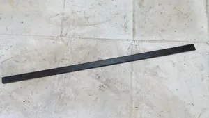 BMW 5 E39 Front door trim (molding) 8184477