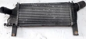 Nissan Pathfinder R51 Radiatore intercooler 14461EB360