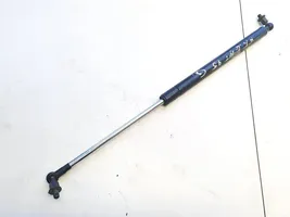 Hyundai Accent Tailgate/trunk strut/damper 