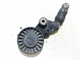 Renault Clio III Tendicinghia generatore/alternatore f2246692300