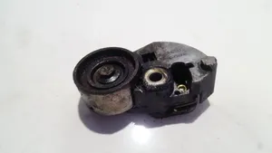 Hyundai Santa Fe Tensor de correa del alternador 2441027000