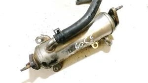 Opel Antara Valvola di raffreddamento EGR 96817829