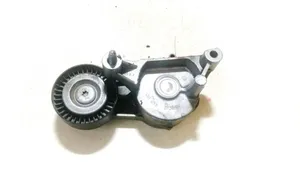 Audi A3 S3 8P Napinacz paska alternatora 445010