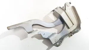 Opel Antara Engine bonnet/hood hinges 