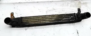 Volkswagen Sharan Intercooler radiator 132002748