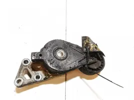 Volkswagen Bora Generator/alternator belt tensioner 038903315f