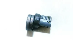 Audi A2 Napinacz paska alternatora 030145299