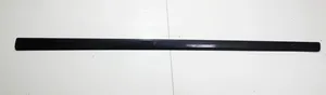 Audi A4 S4 B7 8E 8H Rivestimento della portiera anteriore (modanatura) 8E0853953