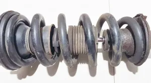 Mitsubishi Pajero Front coil spring 