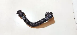 Ford Fiesta Engine coolant pipe/hose cm5g6k817