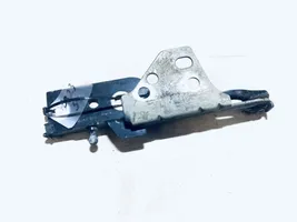 Jaguar X-Type Engine bonnet/hood hinges 1X4316800AH