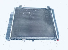 Mercedes-Benz C W202 Dzesēšanas šķidruma radiators 2025003403