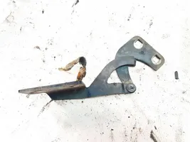 Citroen Berlingo Engine bonnet/hood hinges 