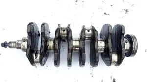 Fiat Punto (188) Crankshaft 