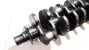 KIA Sedona Crankshaft 