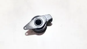 Ford Escort Generator/alternator belt tensioner 