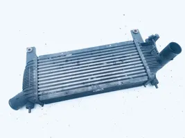 Nissan Navara D40 Intercooler radiator 14461eb360