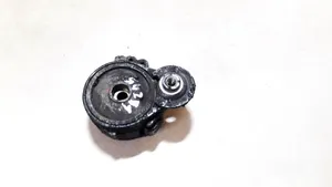 Citroen C5 Tendicinghia generatore/alternatore 